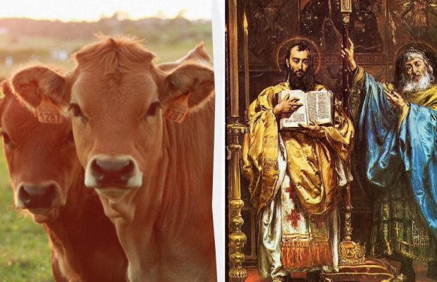 Народне свято 11 травня: для кого цей день вважається вдалим