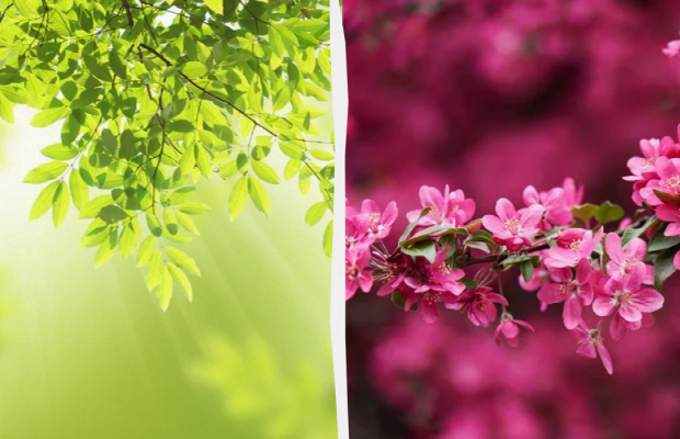 Яке свято 11 травня: важливі події в історії, прикмети та заборони дня