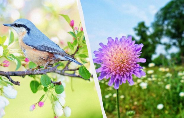 Народне свято 12 травня: п'ять головних заборон цього дня