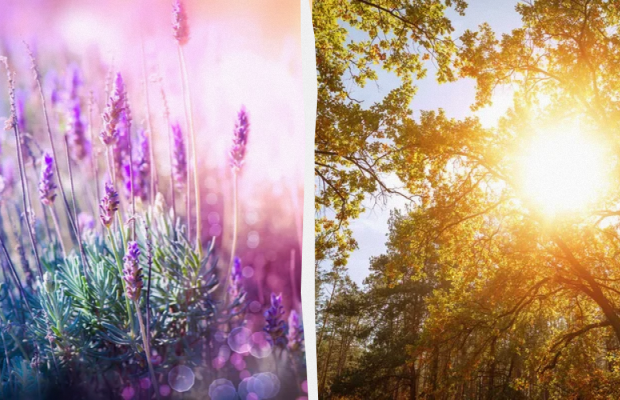 Яке свято 12 травня: важливі події в історії, прикмети та заборони дня