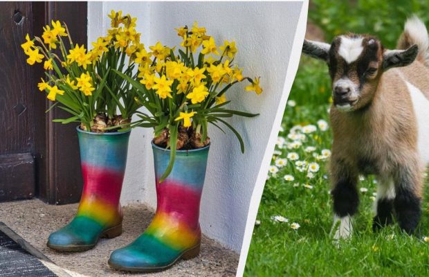 Народне свято 13 травня: п'ять головних заборон цього дня