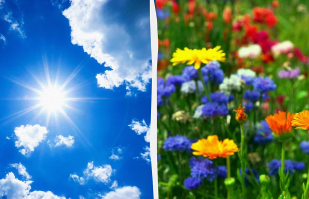 Яке свято 13 травня: важливі події в історії, прикмети та заборони дня