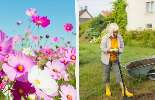 Яке свято 14 травня: важливі події в історії, прикмети та заборони дня