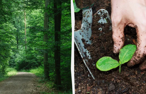 Яке свято 15 травня: важливі події в історії, прикмети та заборони дня