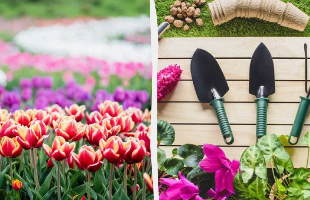 Яке свято 16 травня: важливі події в історії, прикмети та заборони дня