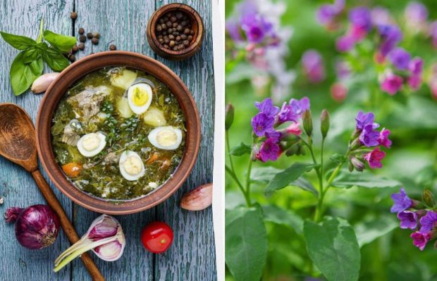 Народне свято 16 травня: яку обрядову страву готують сьогодні