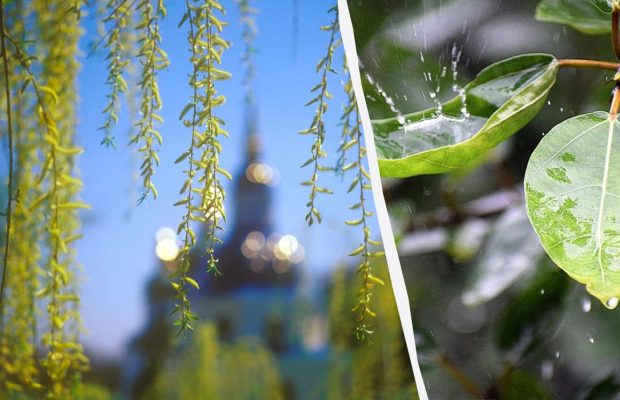 17 травня: церковне свято сьогодні, що поставити на стіл, щоб бути з грошима і врожаєм