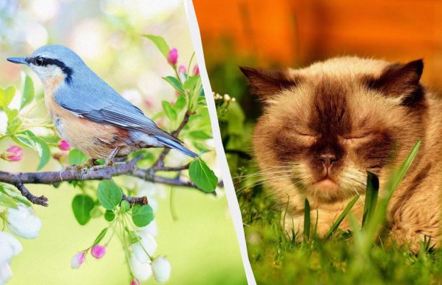 Народне свято 17 травня: шість головних заборон цього дня