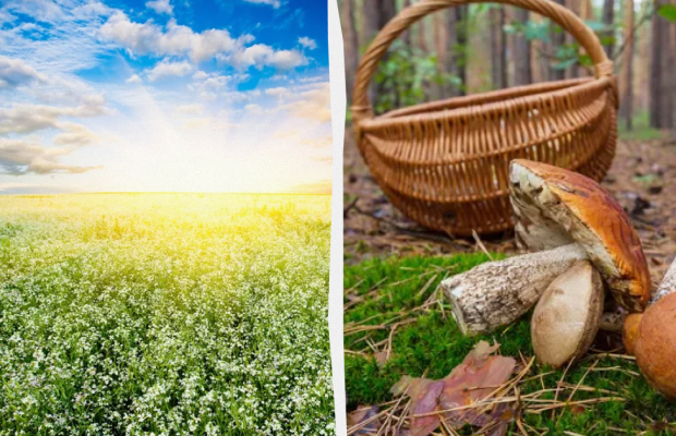 Яке свято 18 травня: що обов'язково потрібно зробити, прикмети та заборони дня