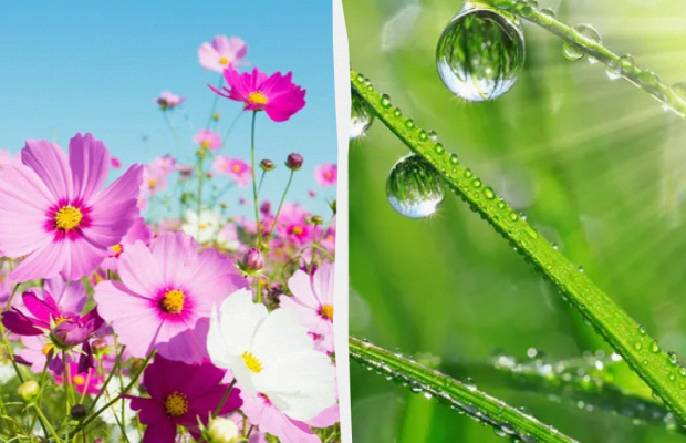 Яке свято 19 травня і чому сьогодні не можна обіймати дітей: прикмети та заборони дня