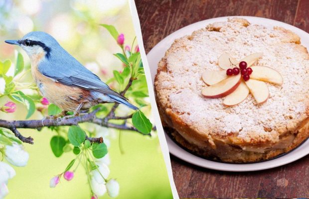 Народне свято 19 травня: два звичаї дня для міцного здоров'я