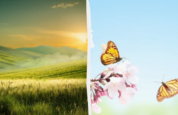 Не можна прати і зберігати вдома випічку: яке свято 21 травня, прикмети і заборони дня