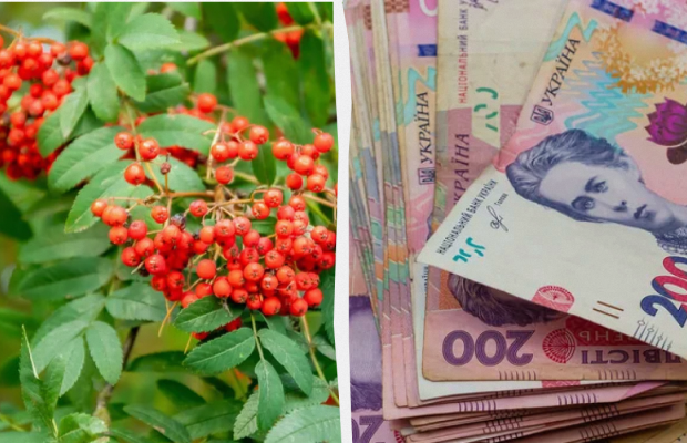 Навіщо сьогодні класти гроші перед дзеркалом: яке свято 22 травня, прикмети, заборони дня