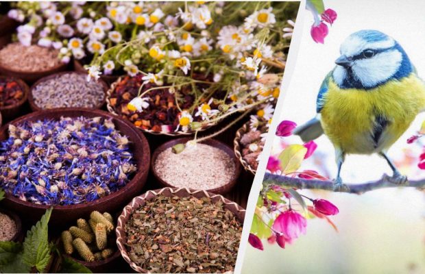 Народне свято 23 травня: для яких справ вдалий цей день