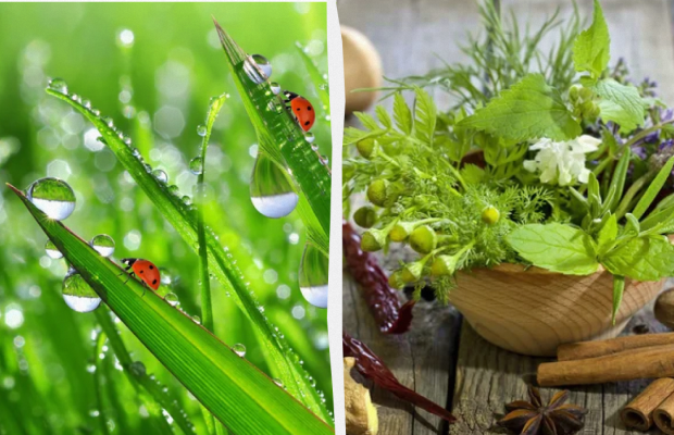 Сьогодні не можна нічого купувати: яке свято 23 травня, прикмети і заборони дня