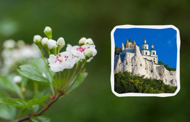 23 травня: церковне свято сьогодні, що не можна давати в борг, кому помолитися за мир