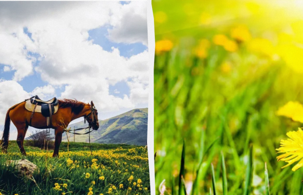 Чому потрібно прибрати в домі до заходу: яке свято 26 травня, прикмети і заборони дня