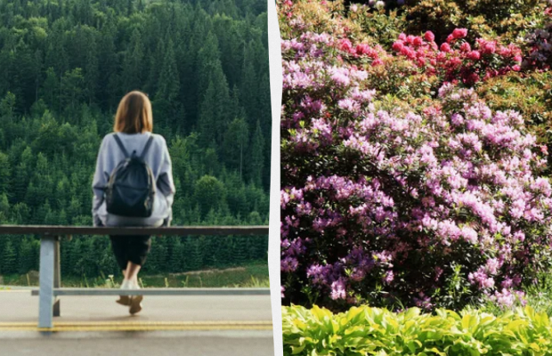 Сьогодні не можна повертатися додому: яке свято 27 травня, прикмети і заборони дня