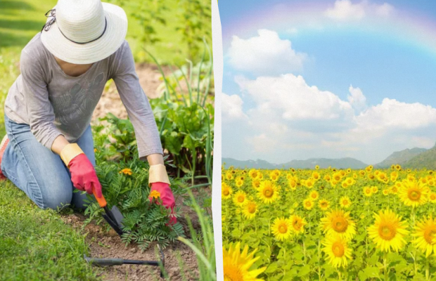 Чому сьогодні не можна витиратися рушником: яке свято 28 травня, прикмети і заборони дня