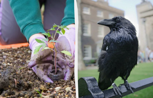 Сьогодні не можна їсти 3 продукти: яке свято 30 травня, прикмети і заборони дня