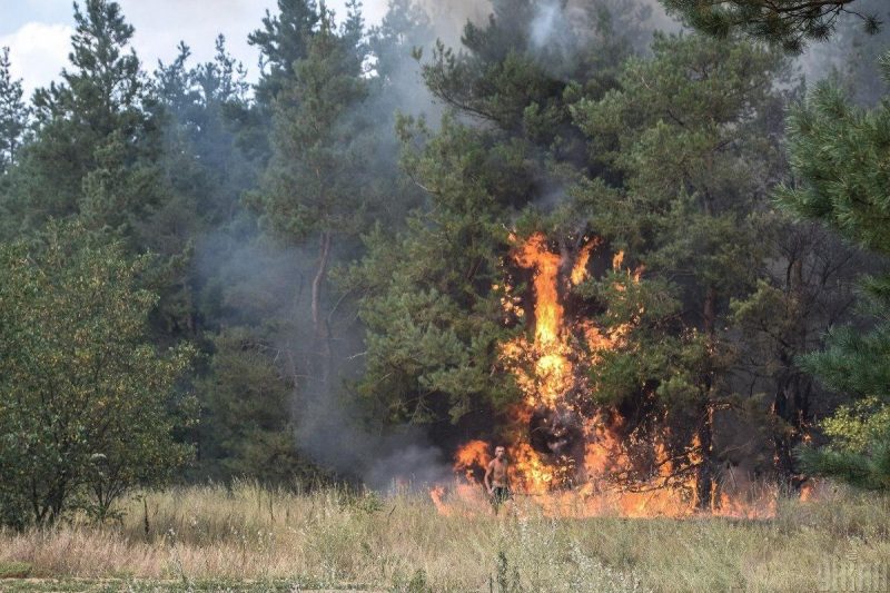 Благодаря развитию ИИ лесные пожары можно будет тушить намного быстрее, чем обычно / фото УНИАН