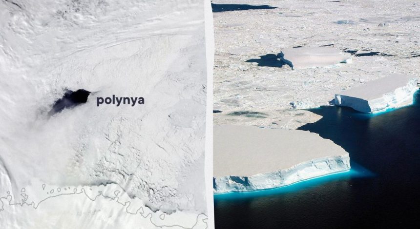 Ученые решили 50-летнюю загадку гигантской полыньи во льдах Антарктиды