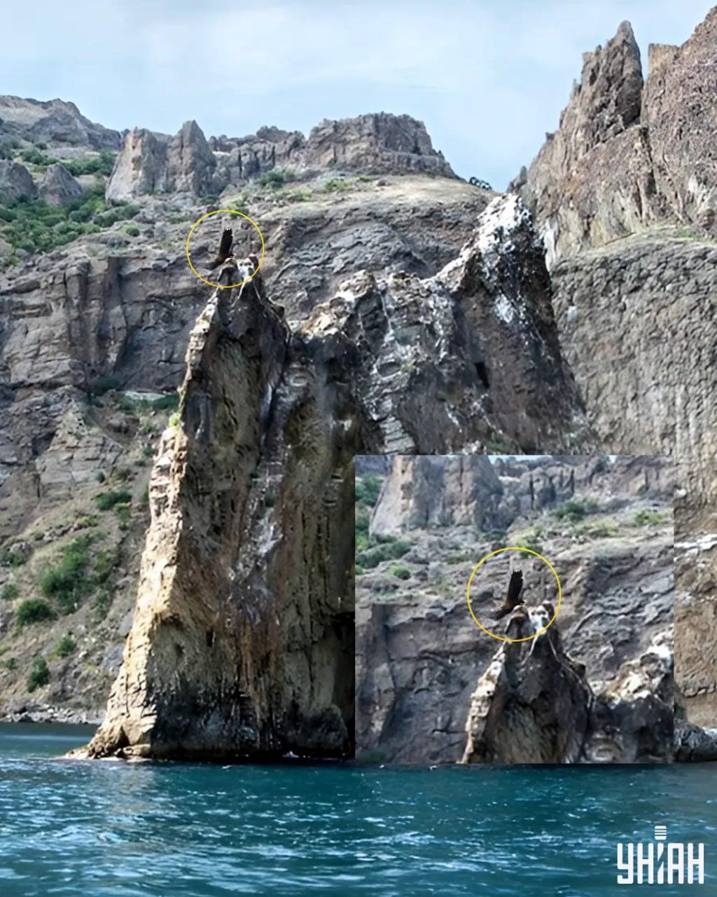 Птах знаходиться на одній з верхівок скелі / колаж з фото УНІАН Птах знаходиться на одній з верхівок скелі / колаж з фото УНІАН