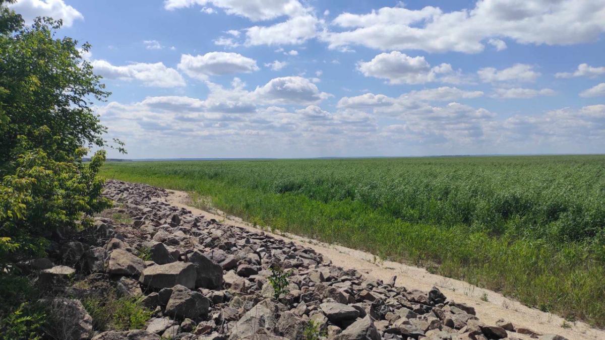 На місці водосховища все виглядає в рази багатшим і ціннішим, аніж під час його існування / фото надане Вадимом Манюком