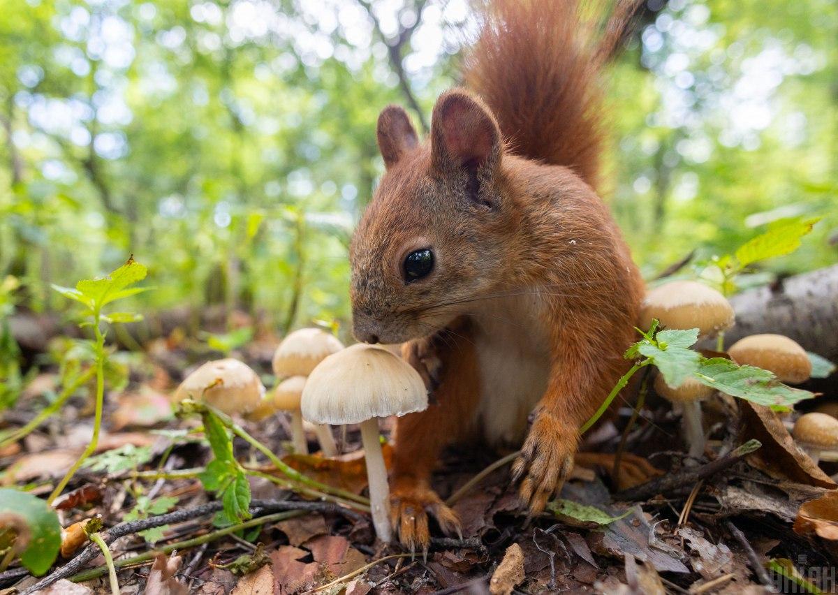 5 серпня спеки в Києві не буде / фото УНІАН 5 серпня спеки в Києві не буде / фото УНІАН