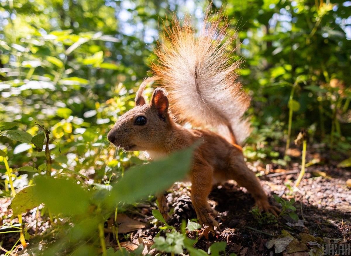 24 июня в Киеве будет очень кофортная температура / фото УНИАН