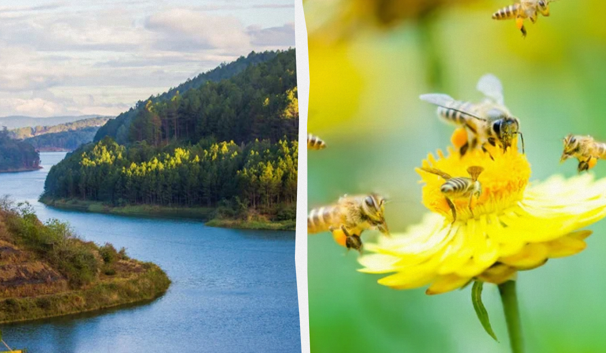 Що можна і не можна робити 20 червня - прикмети і традиції / колаж УНІАН, фото ua.depositphotos.com Що можна і не можна робити 20 червня - прикмети і традиції / колаж УНІАН, фото ua.depositphotos.com