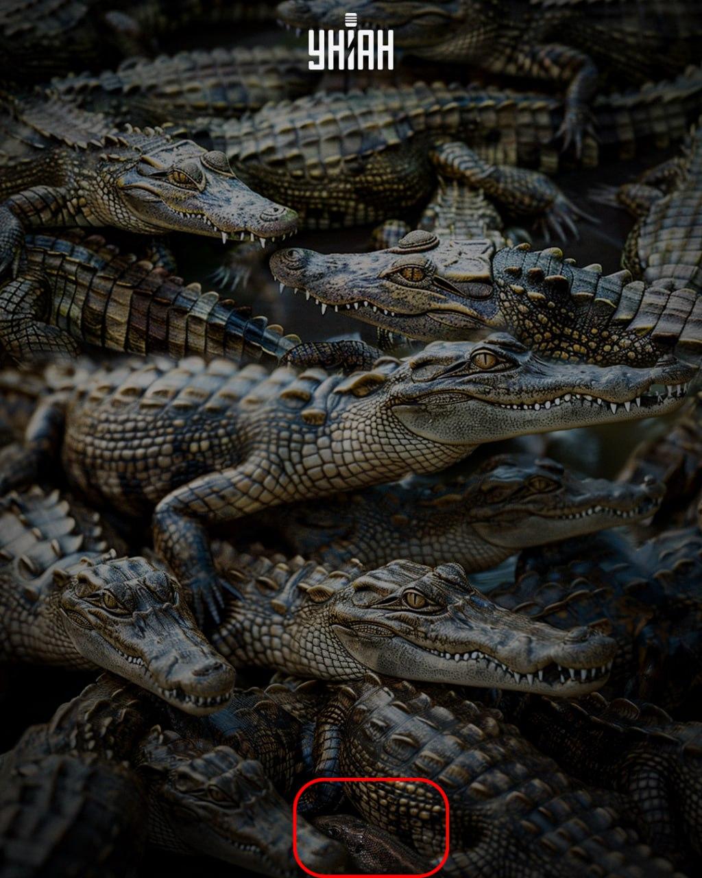 УНИАН УНИАН