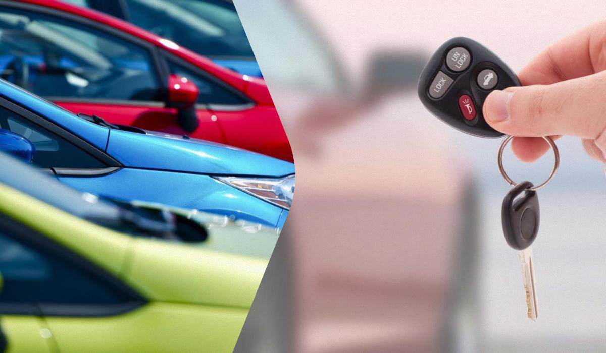 Из общего количества приобретенных машин 1335 единиц были новые / коллаж УНИАН, фото ua.depositphotos.com Из общего количества приобретенных машин 1335 единиц были новые / коллаж УНИАН, фото ua.depositphotos.com