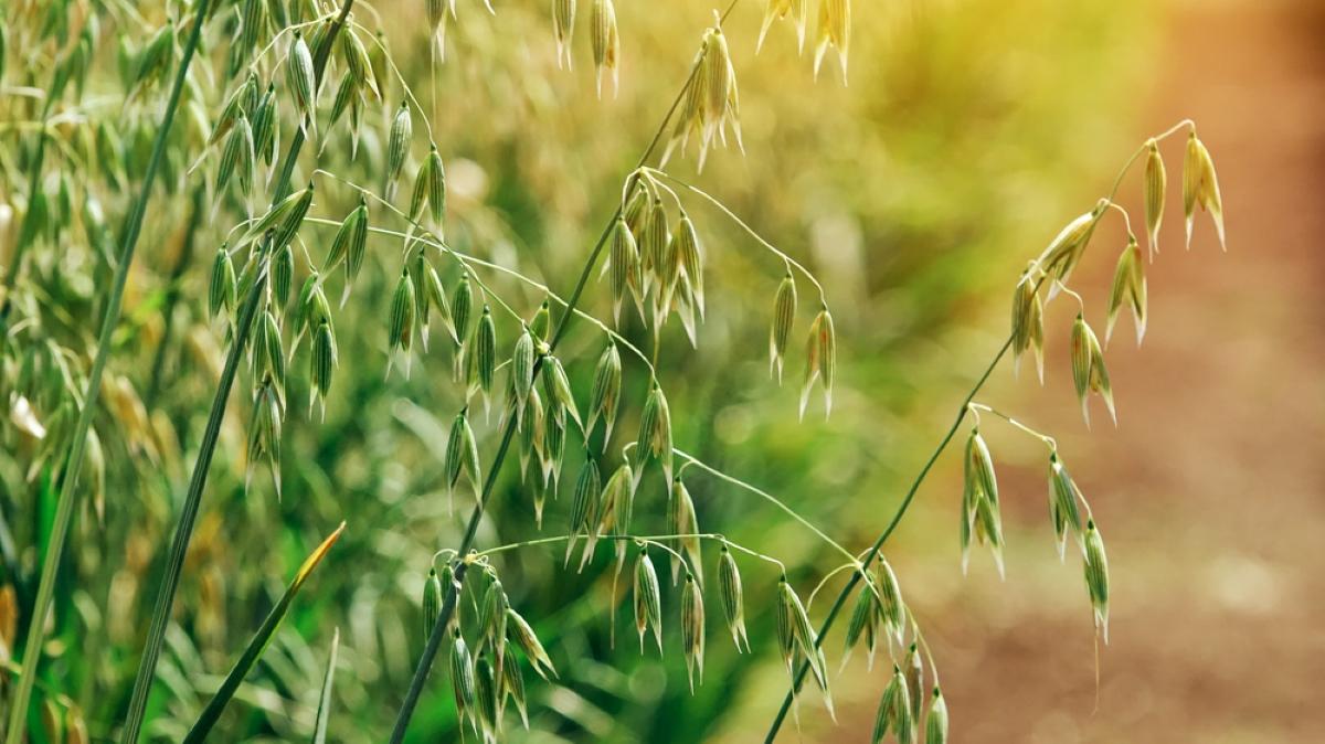 В августе среднемесячная температура предполагается в пределах +20...+26 градусов / фото ua.depositphotos.com