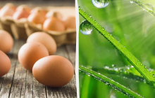 Почему сегодня нужно обязательно сварить яйцо: какой праздник 4 июня, приметы, запреты дня