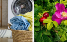 Нельзя принимать ванну и стирать вещи: какой праздник 6 июня, приметы и запреты дня