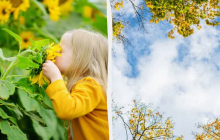 Сегодня нельзя ложиться спать днем: какой праздник 10 июня, приметы и запреты дня