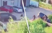 На Львівщині представники ТЦК збили велосипедиста під час гонитви: реакція керівництва (відео)