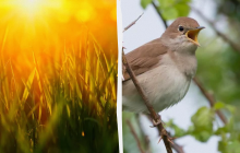 Нельзя подметать и мыть полы: какой праздник 15 июня, приметы и запреты дня