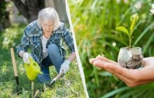 Укради, дай 7 копійок і налякай: городні прикмети, у які вірять навіть дачники з досвідом