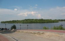 Київські активісти "знайшли" 100-літні дерева на Оболонському острові, який насипали лише 40 років тому, – експерт