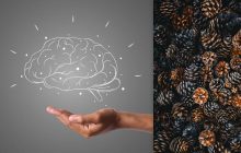 Все видят шишки, а надо найти ежа за 7 секунд: тест для проверки IQ