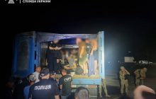 Прикидались "зерном": на Одещині в одній фурі знайшли понад 40 ухилянтів (фото, відео)