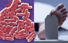 В Японії поширюються м'ясоїдні бактерії, здатні вбити за два дні, - Bloomberg