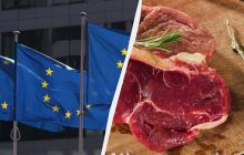 Китай вирішив помститись ЄС за мита на електромобілі: під прицілом – європейська свинина