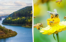 Не можна говорити "Я кохаю тебе": яке свято 20 червня, прикмети і заборони дня