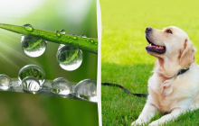 Нельзя носить светлые вещи: какой праздник 21 июня, приметы и запреты дня