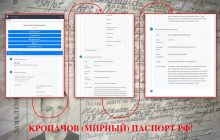 Российский паспорт Кропачева окончательно подтвержден, - эксперт