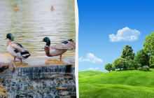 Нельзя оставлять ложку на столе: какой праздник 23 июня, приметы и запреты дня