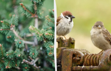 Обязательно нужно съесть рыбу: какой праздник 25 июня, приметы и запреты дня